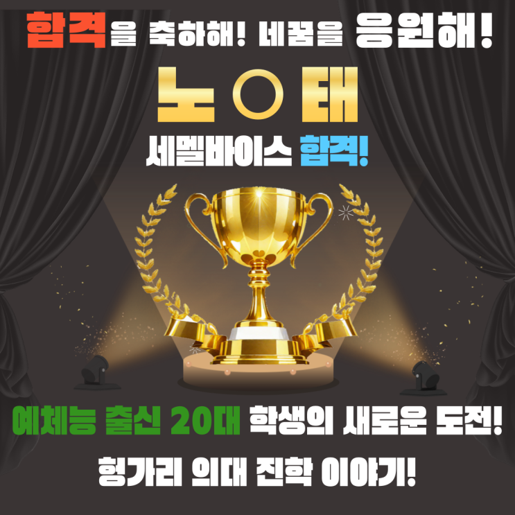  20대 예체능 출신 학생의 헝가리의대 합격 이야기