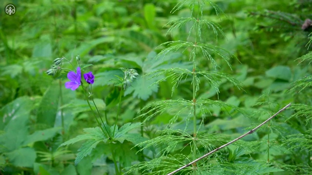  사주 공부 책 , 심리상담사 자격증 합격한 전략 제가 알려드릴게요