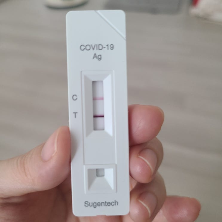  24년 8월 코로나 증상 단계 경과 후기