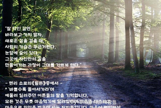 .......가지 .......가지
