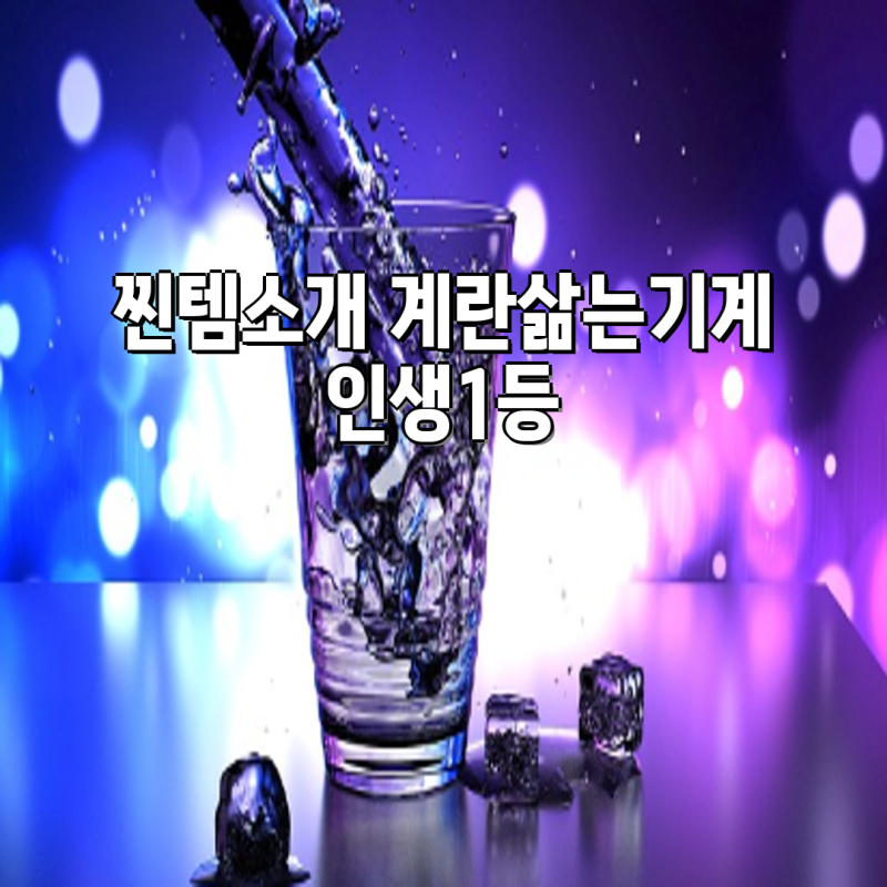 최고의 계란 삶는 기계 추천| BSW, 에버튼하우스, DIHY, 오르테, 러셀홈스, 필립스 제품 비교 | ....