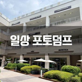  [일상 포토덤프] 꾸롱이네 여름 나기! 집이 최고~ 뒤죽박죽 여름휴가 일상ㅎ