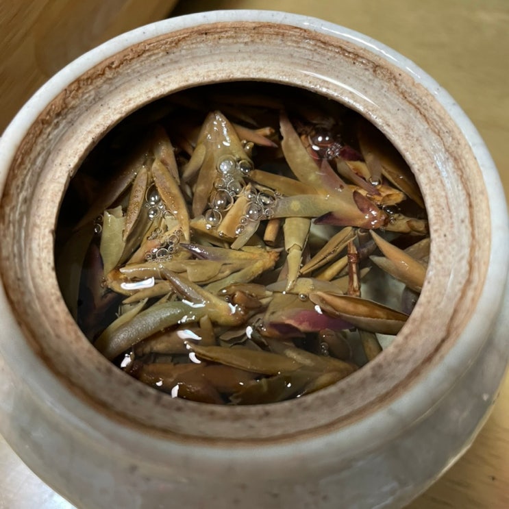  아포차 + 진피보이차