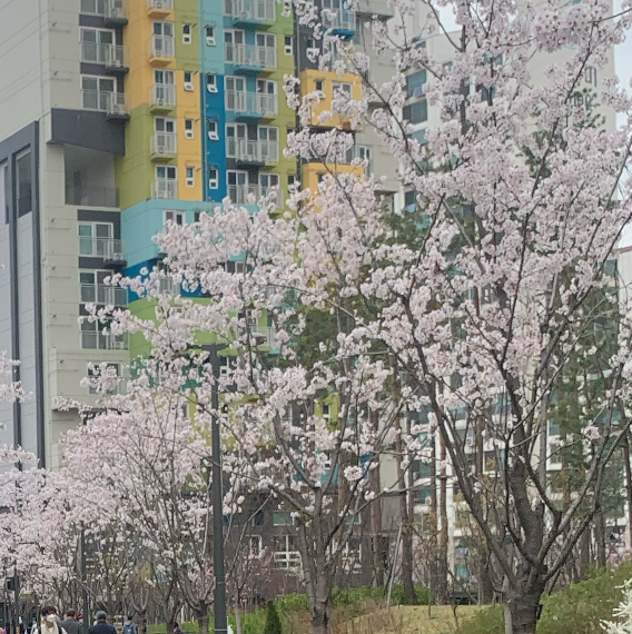 네일스케치 사진 4