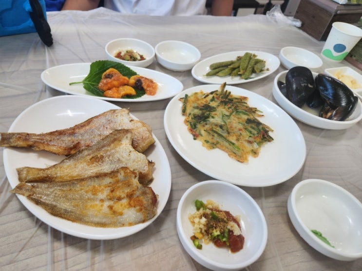  영암회식당 포항 참가자미회 맛집을 가보자