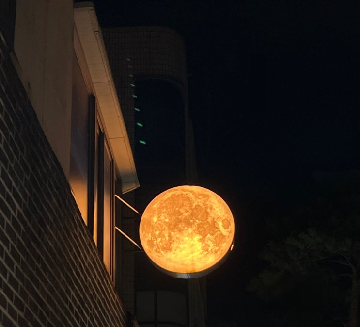  photo dump 7 : 이제 다음주가 마지막 주!