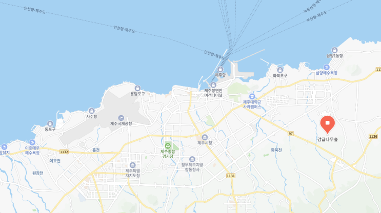  제주도 여행 / 청귤 체험 / 청귤청 체험 / 제주도 북부