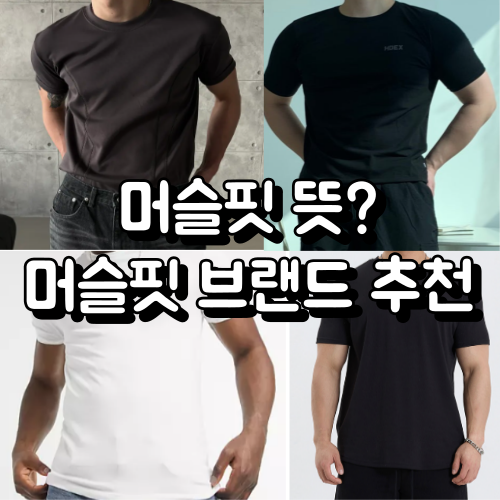 머슬핏 뜻 ? 직접입어본 머슬핏 반팔티 브랜드 추천까지