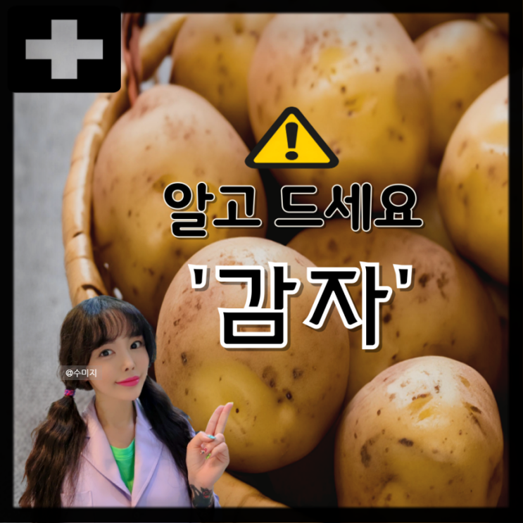  감자 효능 : 생감자 감자껍질 감자의 효능