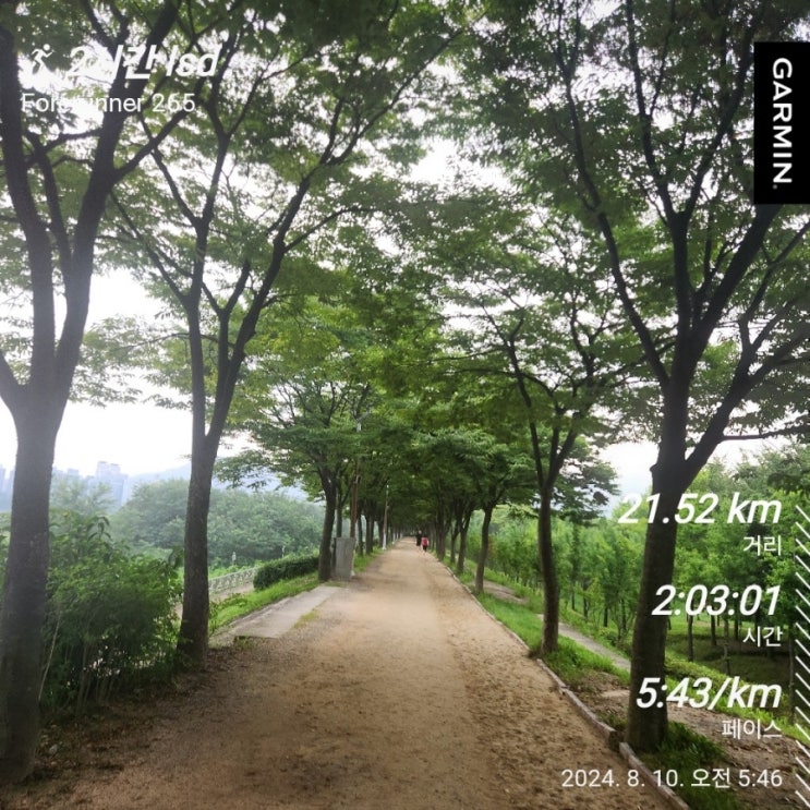 8.10 달리기 log : 21km lsd & 파리올림픽 <b>마라톤</b>