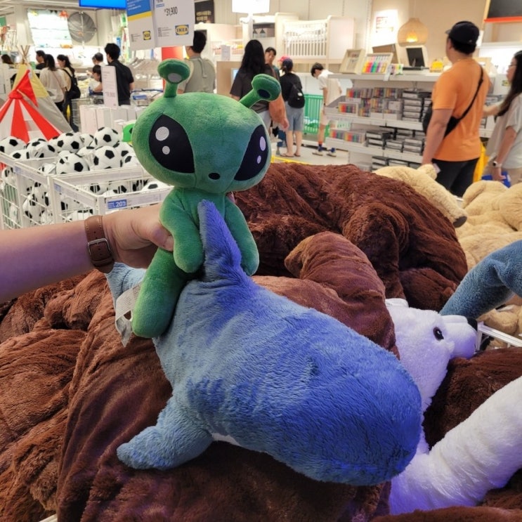  이케아 쇼핑리스트 | 이케아 외계인 인형, 바리에라 서랍매트, 손잡이 강판, 뢰스타그바르 푸어러, 틸공 트레이, 클라르바르 화분