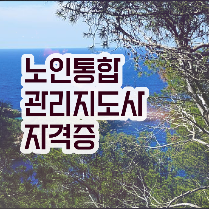  40대 취업 , 노인통합관리지도사 자격증 15일 만에 취득한 과정 , 취업정보