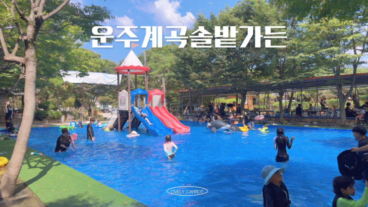  대전근교 외부음식 반입가능한 계곡평상 운주계곡솔밭가든
