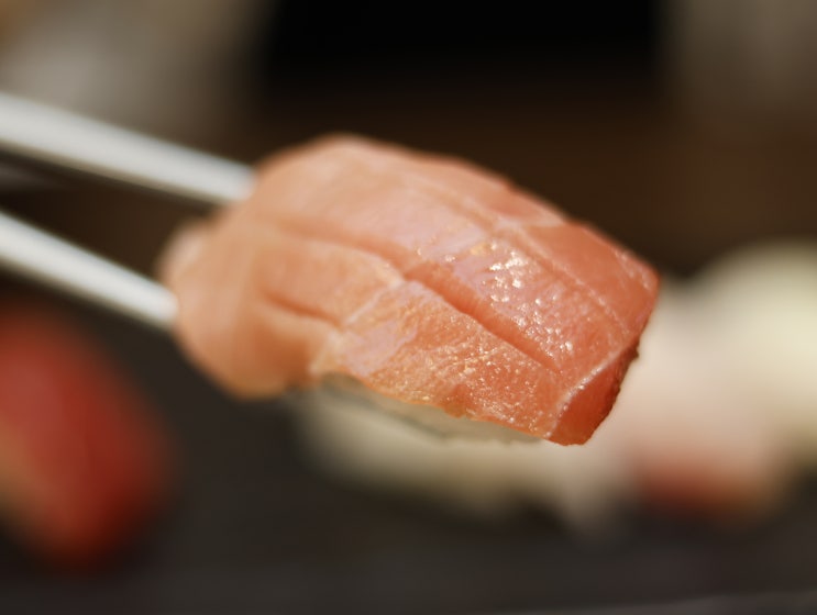  신정네거리 맛집 목동 점심 초밥 탑티어 스시범