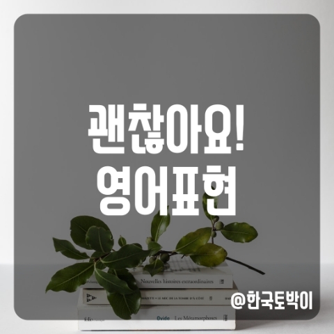  신경쓰지마세요 괜찮아요 영어로
