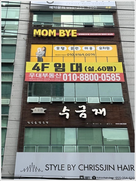 사진 9
