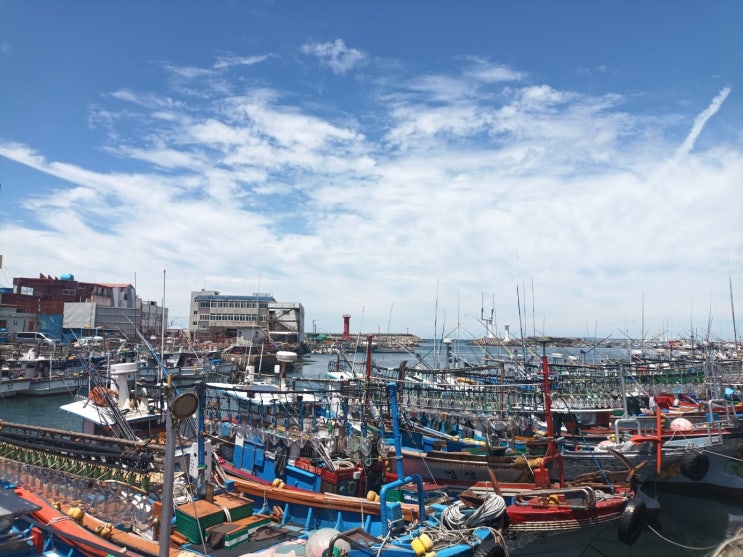  최근 일상(2024.7.17.~19.): 제주 출장(2)