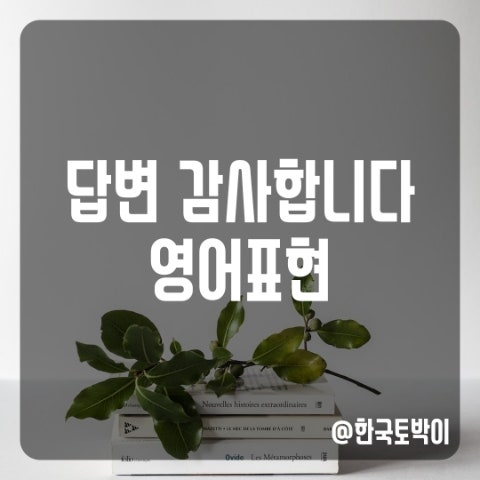  답변 감사합니다 영어로 (영어이메일)