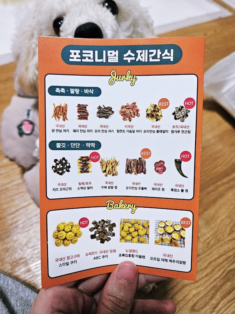 사진 5