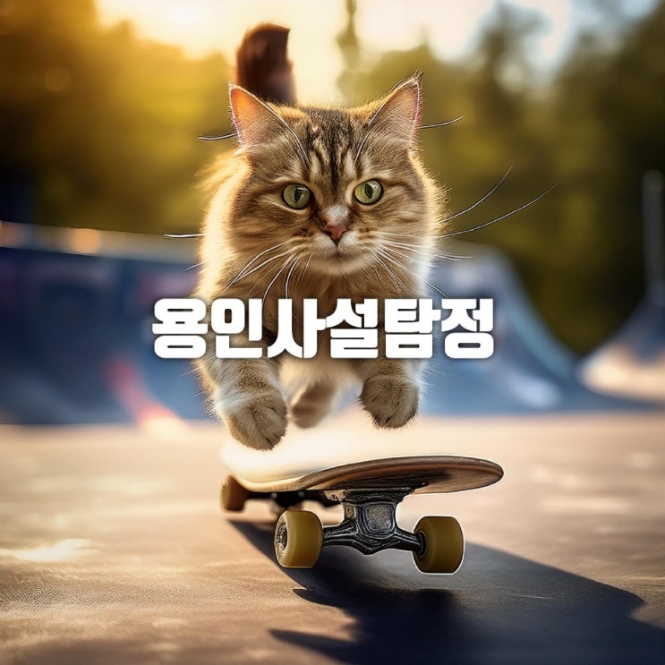  용인사설탐정 광주사설탐정 증거수집 탐정의 성공 사례 TOP7