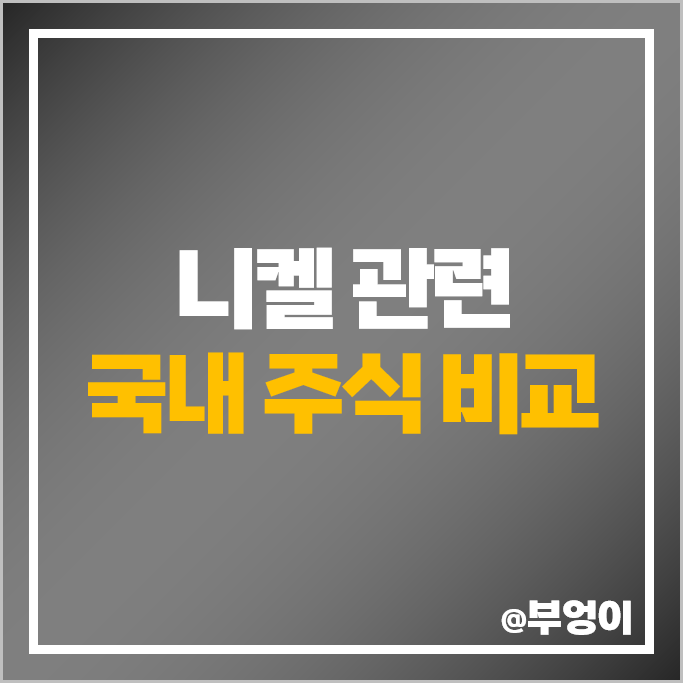 니켈 관련주 포스코인터내셔널 주가 STX 현대비앤지스틸 LG화학 주식 니켈 관련주 포스코인터내셔널 주가 STX 현대비앤지스틸 LG화학 주식
