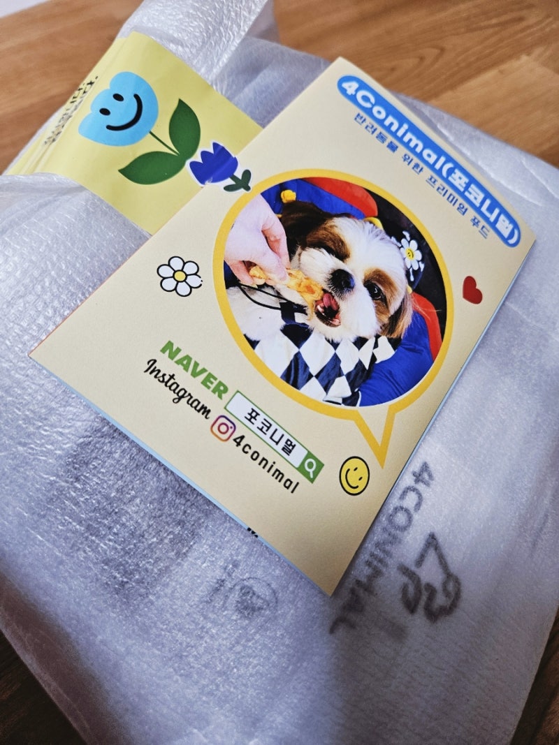 사진 4