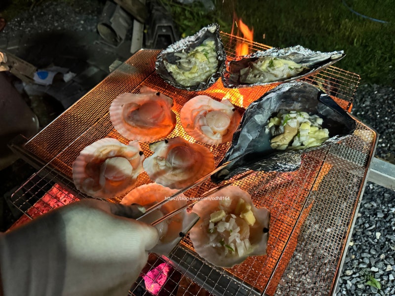 캠핑 조개구이 키조개,가리비 구이 손질하는 방법,맛있게 먹는방법