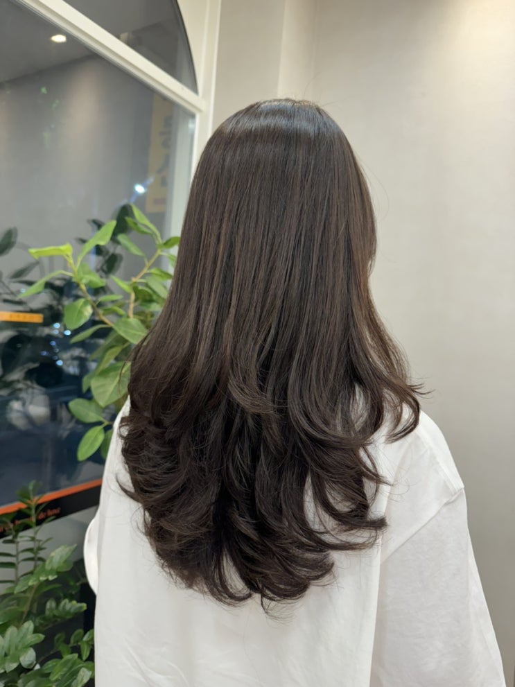  보그헤어 교대역점 머릿결 손상없이 파마가능한 교대미용실! 트렌디한 C컬 프리미엄 열펌 후기