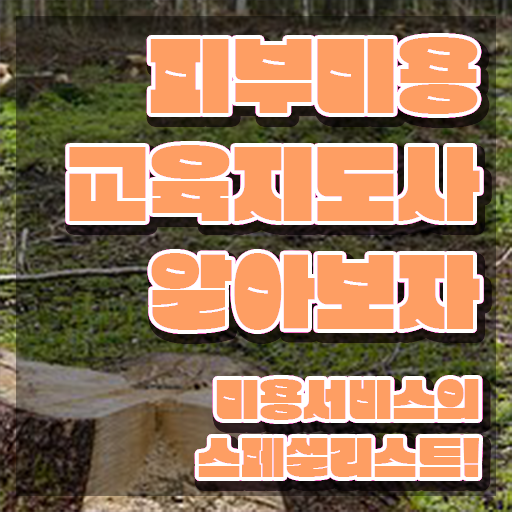  피부미용사 취업 , 피부미용교육지도사 자격증 온라인으로 간단히 준비한 과정 추천합니다