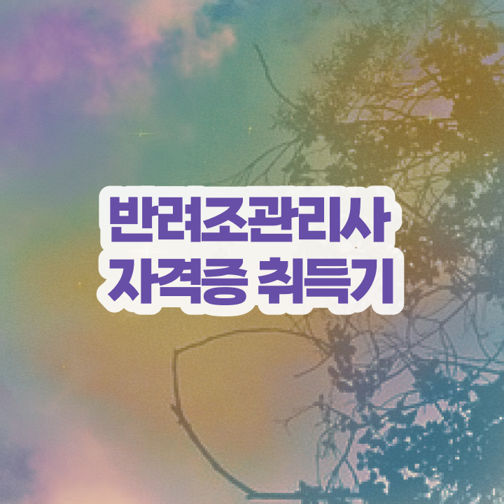  금강앵무분양 , 반려조관리사 자격증 2주 만에 합격한 팁 요약