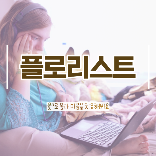  국화 꽃꽂이 , 플로리스트 자격증 온라인으로 취득한 정보 및 전망