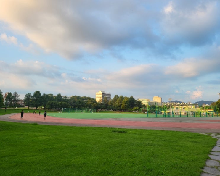  블로그 일상 포토덤프 챌린지 7주차 전남대 산책