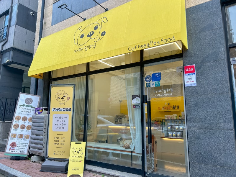 사진 2