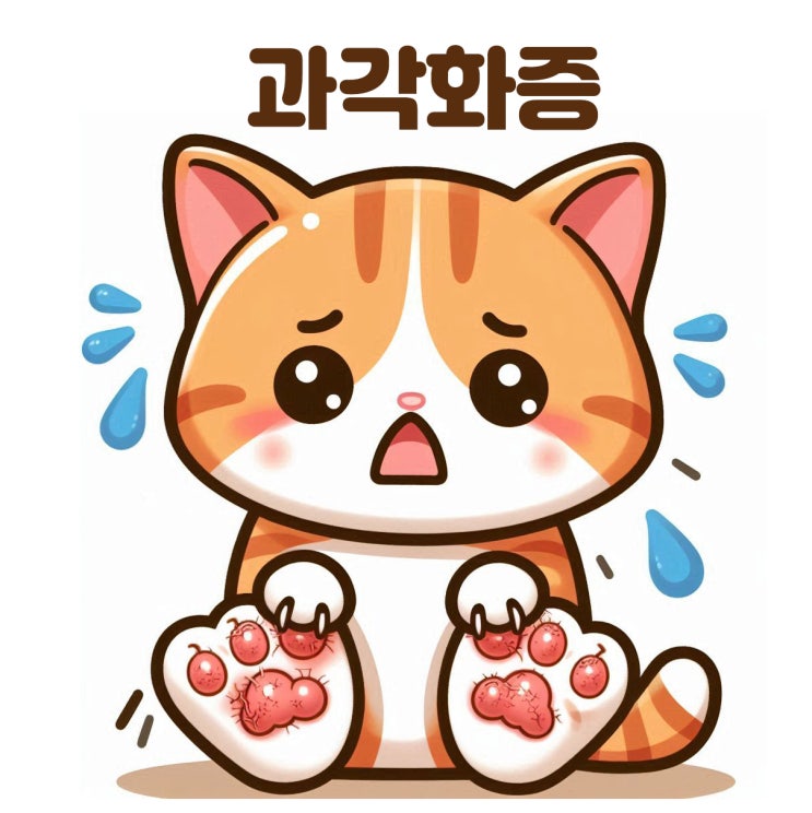  고양이 발 젤리 굳은살 과각화증