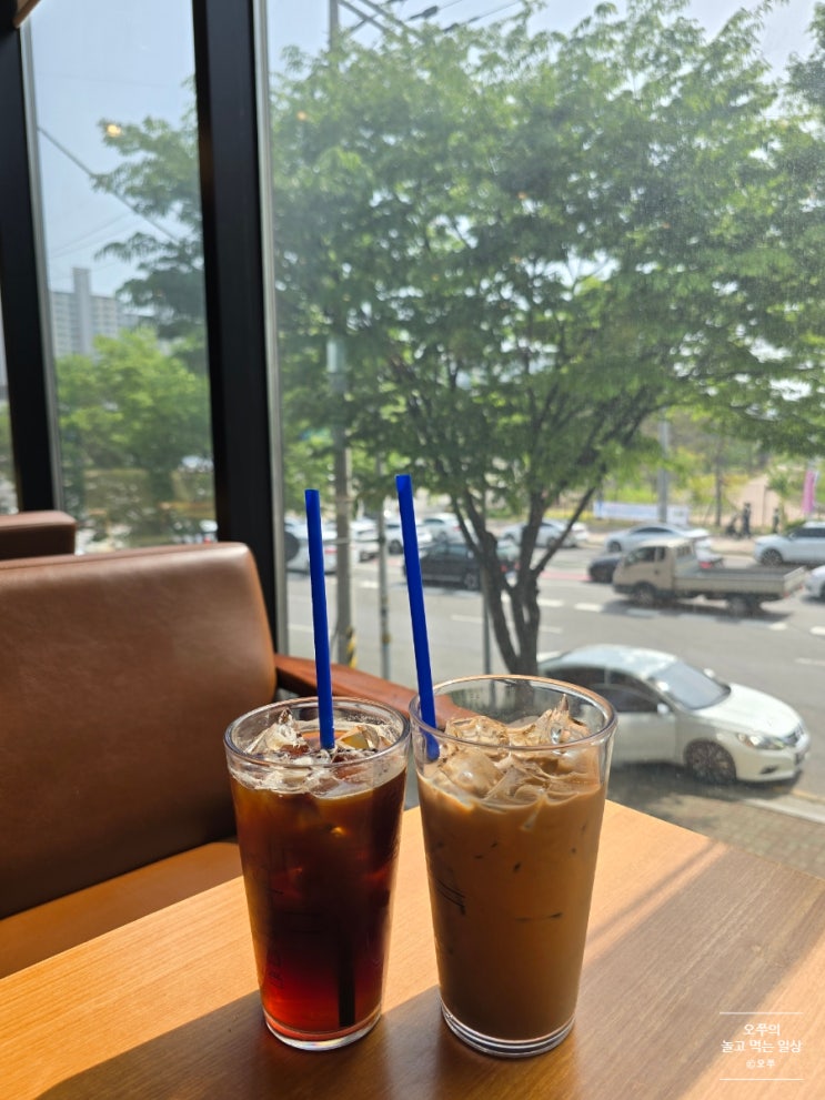  [수원 일월 수목원 카페] 이디야커피 일월 수목원점 / 아샷추, 달달 커피