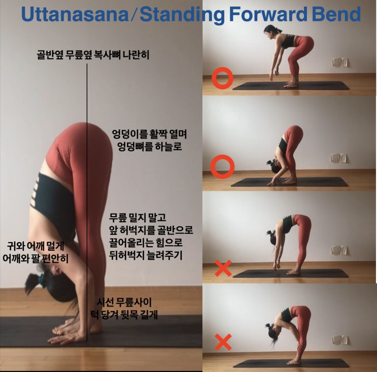  통증이 있을 때 수련법, 10년 경력 요가원 원장 비법