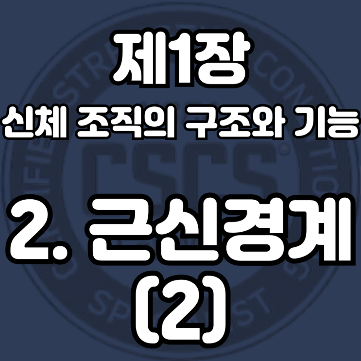  1-2(2) 고유수용기 : 근방추와 골지건