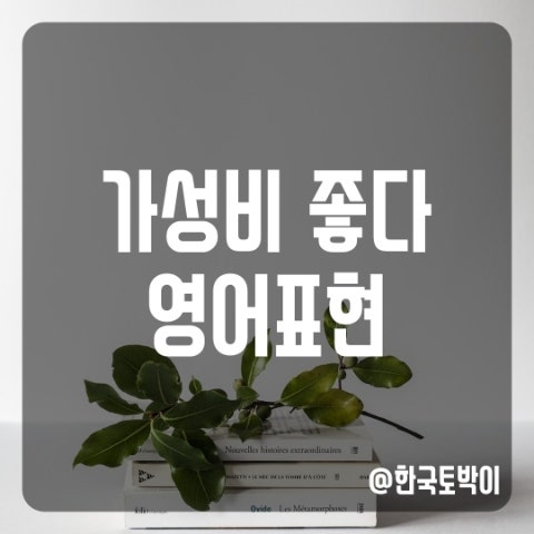  가성비 좋다 영어로