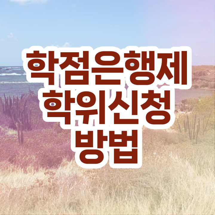  학점은행제 자격증 학점은행제 학위 온라인 교육원에서 최단기간 준비했던 방법
