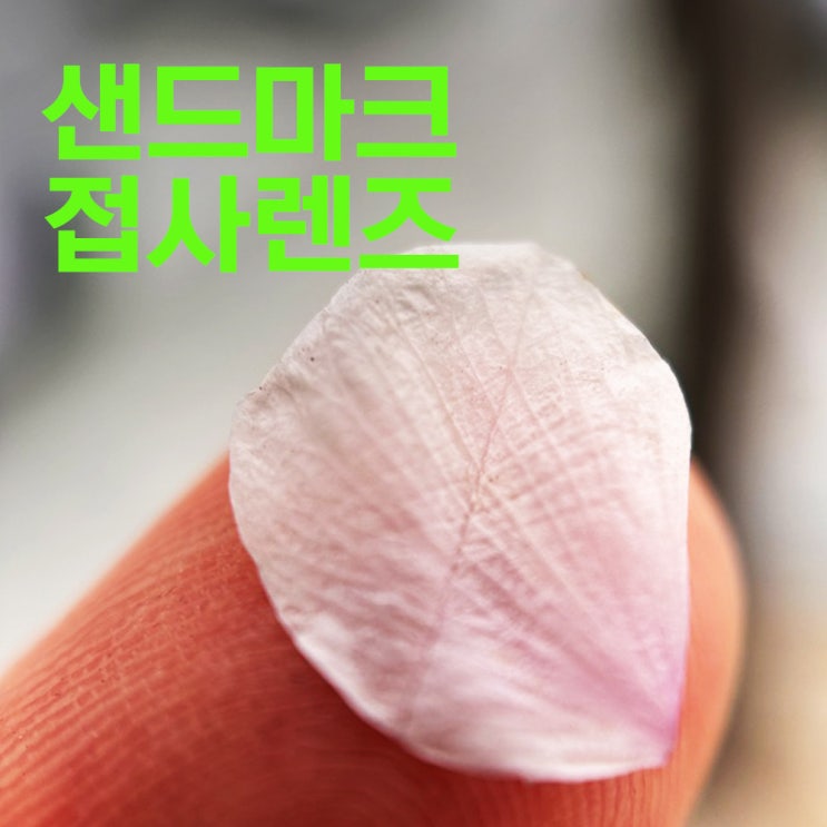 나의 일상 | 샌드마크 접사렌즈 | 아이폰렌즈추천 | 아이폰스냅