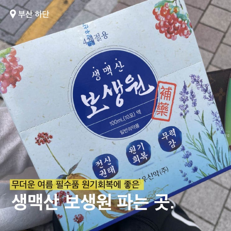  더위 먹었을 때 원기회복에 좋은 보생원/ 부산 파는 곳과 꿀 조합