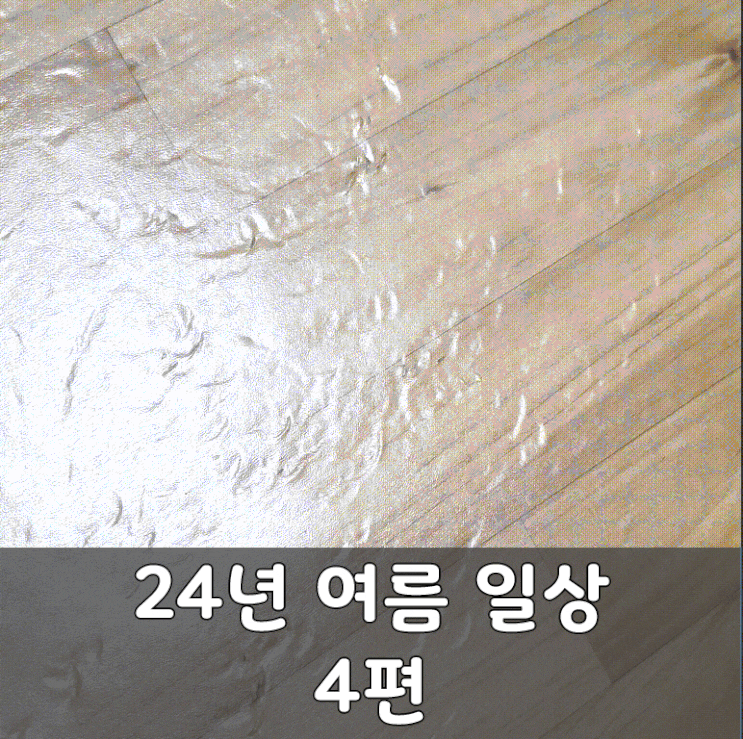  24년 여름 일상 4편 셀프 인테리어 후기 알리 카펫 타일과 다이소 엽서로 홈데코