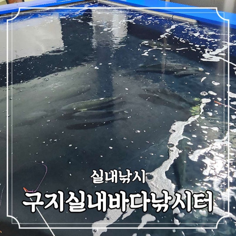 대구실내낚시터는 손맛 좋은 구지실내바다낚시터로