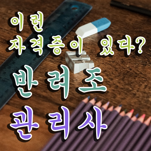  말하는 앵무새 분양 , 반려조관리사 자격증 15일 만에 준비한 과정 알려드립니다
