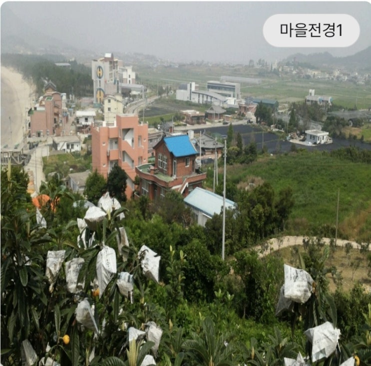  전남 완도군-울모래마을 살아보기 3기모집(귀농귀촌)