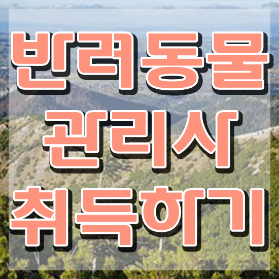  부산 반려동물학과 , 반려동물관리사 자격증 응시자격 없이 준비한 방법 , 활용 방법