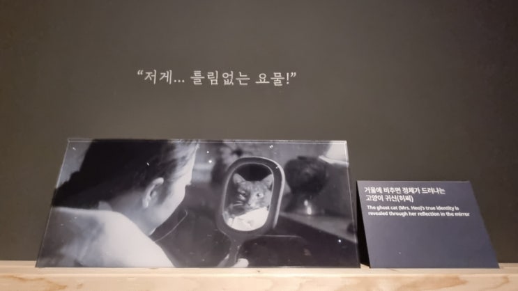  고양이는 왜 귀여운 거야...- 우리를 홀린 고양이 전시 후기 (국립민속박물관)