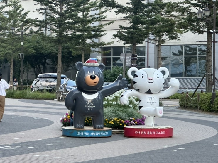  8월 평창 가족 여름휴가 기록 (알펜시아 오션700, 스키점프대)