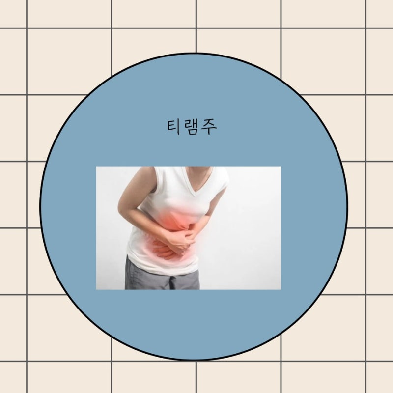 티램주 티로프라미드염산염 효능 복통 진통제 효능 부작용