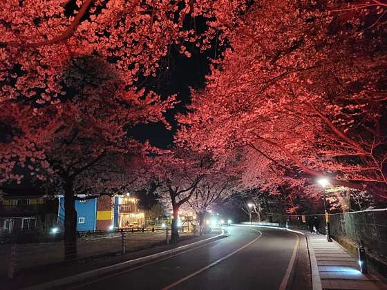 사진 5